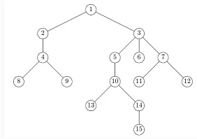 1105_Tree Graph.jpg
